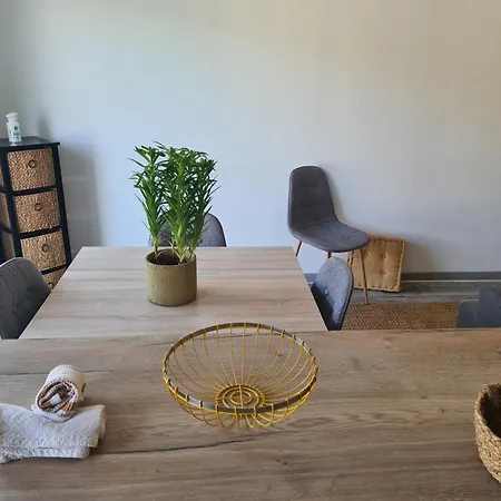 Apartment Cosy Et Lumineux Entre Sarlat Et Rocamadour